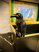 Load image into Gallery viewer, Third Eye Magik Raven Spell Box