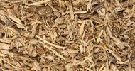 Angelica Root Herb 10g