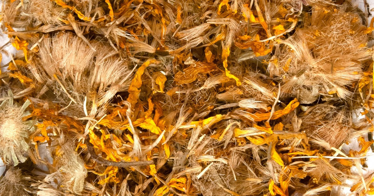 Arnica Flowers Herb 10g